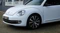 Volkswagen Beetle 2.0 TSI Sport 200PK DSG CRUISE LEDER NAVI FENDER Blanc - thumbnail 25