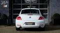 Volkswagen Beetle 2.0 TSI Sport 200PK DSG CRUISE LEDER NAVI FENDER Weiß - thumbnail 17