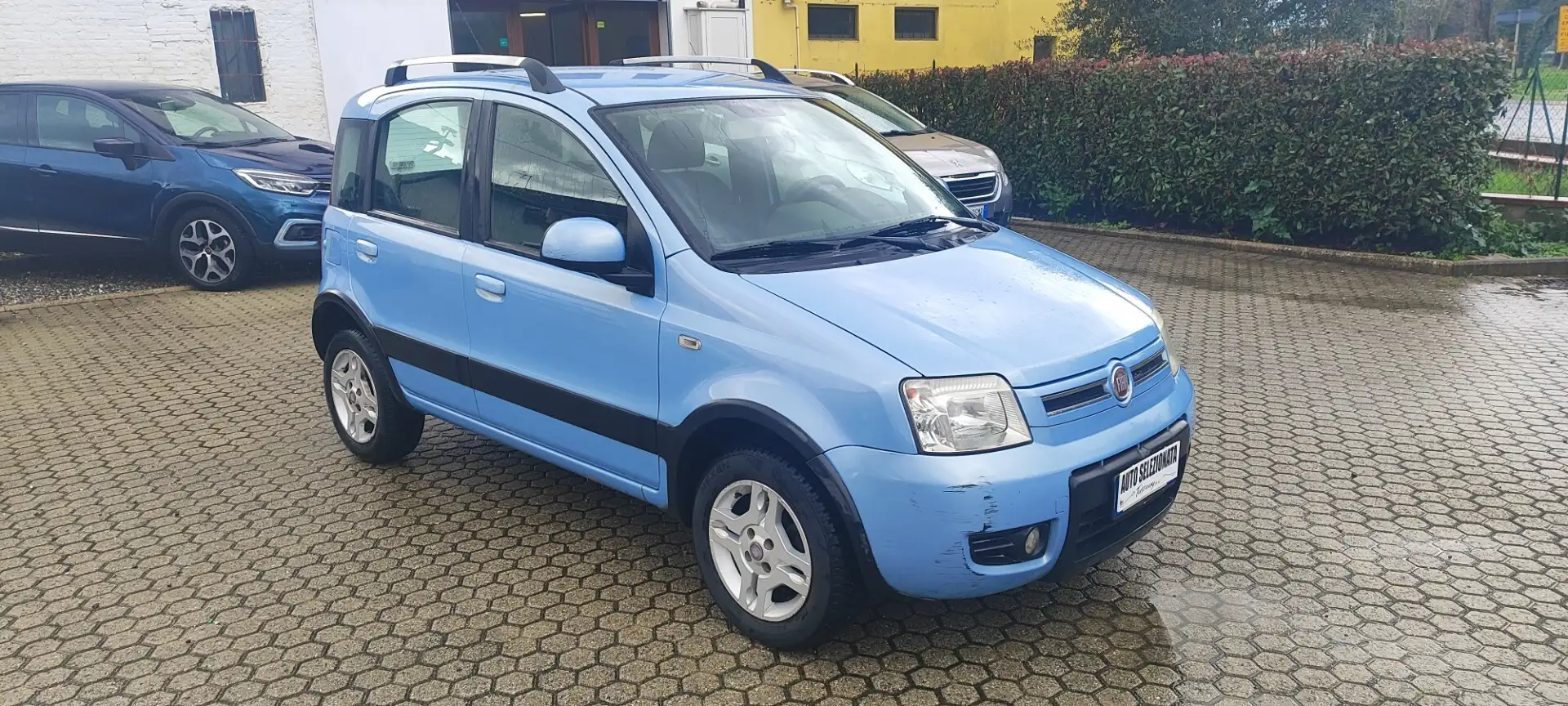 Fiat Panda Panda 1.2 Climbing Natural Power Blau - 2