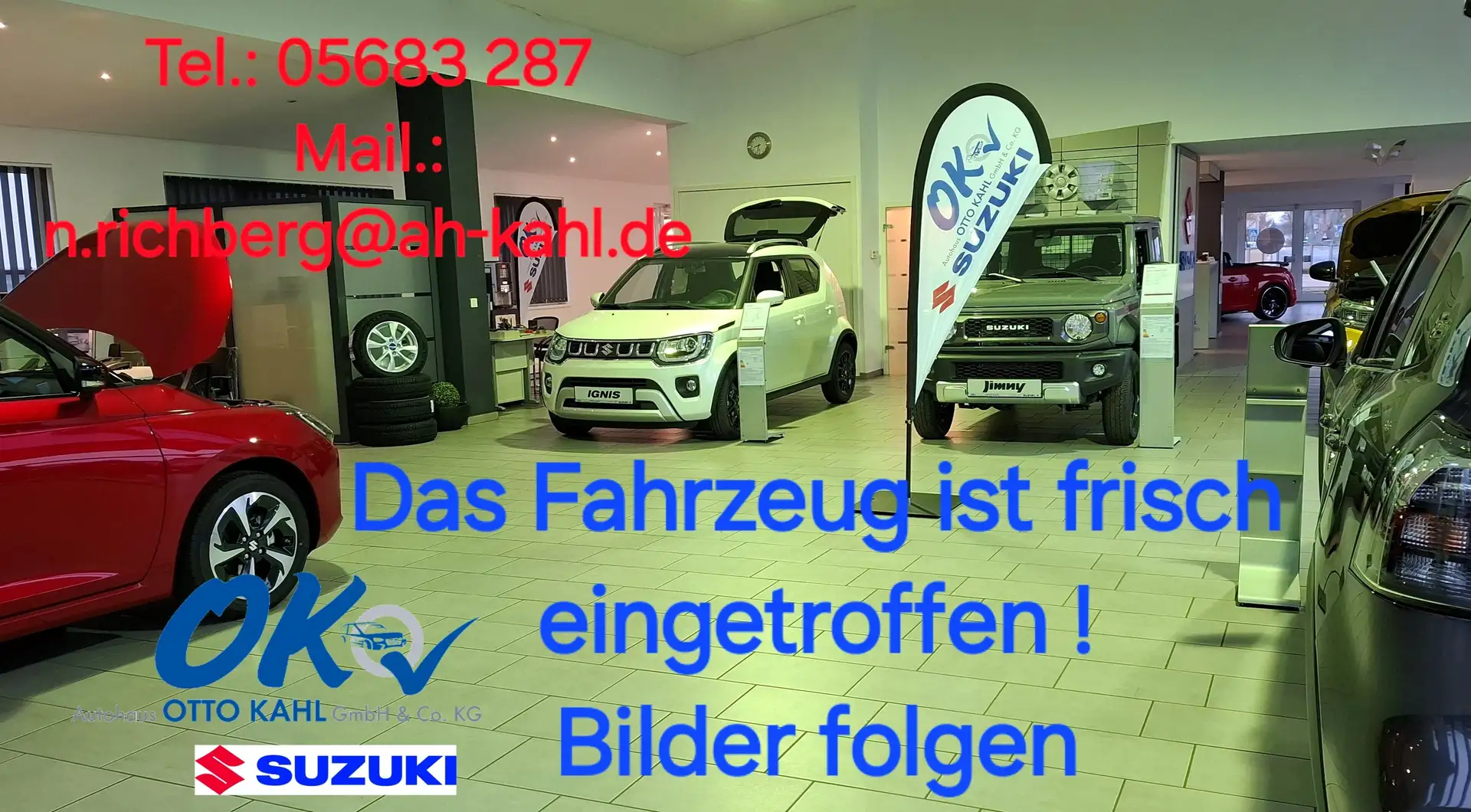 BAIC BJ30 4WD, HEV Gri - 1