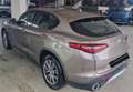 Alfa Romeo Stelvio Stelvio 2.2 t Business rwd 160cv auto my19 Bronzo - thumbnail 4