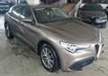 Alfa Romeo Stelvio Stelvio 2.2 t Business rwd 160cv auto my19 Bronzo - thumbnail 1