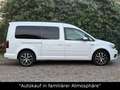 Volkswagen Caddy Maxi Comfortline DSG+AHK+BI-XENON+ACC Weiß - thumbnail 7