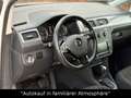 Volkswagen Caddy Maxi Comfortline DSG+AHK+BI-XENON+ACC Weiß - thumbnail 14