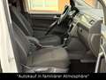 Volkswagen Caddy Maxi Comfortline DSG+AHK+BI-XENON+ACC Weiß - thumbnail 23