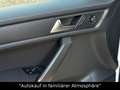 Volkswagen Caddy Maxi Comfortline DSG+AHK+BI-XENON+ACC Weiß - thumbnail 12