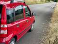 Fiat Panda Panda 1.2 Dynamic Roşu - thumbnail 7