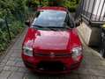 Fiat Panda Panda 1.2 Dynamic Roşu - thumbnail 4