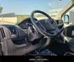 Citroen Jumper 35 BlueHDi 160 PLM Cabinato Heavy CASSA 8 BANCALI White - thumbnail 8