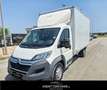 Citroen Jumper 35 BlueHDi 160 PLM Cabinato Heavy CASSA 8 BANCALI White - thumbnail 1
