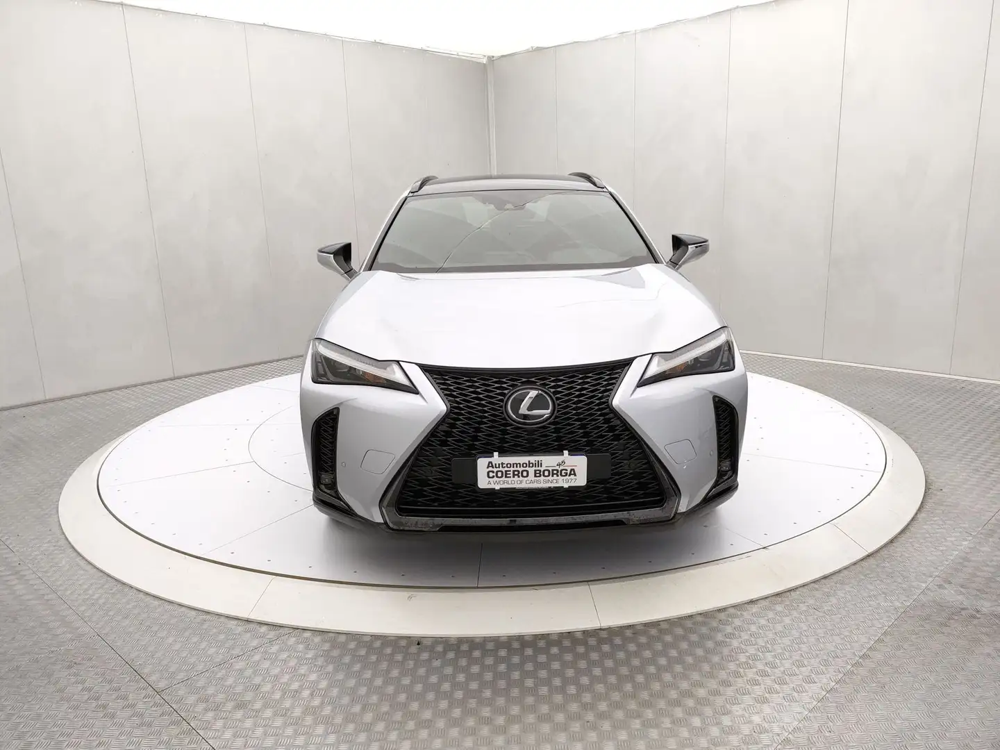 Lexus UX 250h Hybrid F Sport Grau - 2