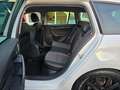 Skoda Octavia 2.0 TSI Style 4x4|DSG|Navi|Kamera|ACC Blanc - thumbnail 17