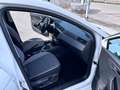 SEAT Ibiza 1.0 tgi Style 90cv Metano Bianco - thumbnail 14