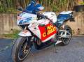 Honda CBR 600 RR Bianco - thumbnail 2