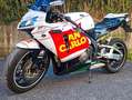 Honda CBR 600 RR Bianco - thumbnail 4