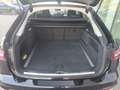 Audi A6 allroad A6 allroad 45 TDI 3.0 quattro S tronic Evolution Negro - thumbnail 18