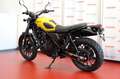 Honda CL 500 Scrambler #2025 Jaune - thumbnail 6