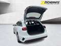 Kia Ceed SW / cee'd SW CEED SW 1.0T 100 VISION *NAVI*KAMERA*SHZ*PDC Weiß - thumbnail 6