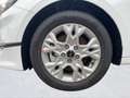 Kia Ceed SW / cee'd SW CEED SW 1.0T 100 VISION *NAVI*KAMERA*SHZ*PDC Weiß - thumbnail 12