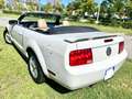 Ford Mustang CABRIO Bianco - thumbnail 7