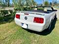 Ford Mustang CABRIO Bianco - thumbnail 4