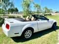 Ford Mustang CABRIO Bianco - thumbnail 5