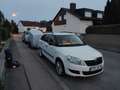 Skoda Fabia 1.6 TDI DPF Combi,Tüv 01/27. Egr neu, AHK Weiß - thumbnail 12