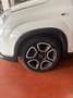 Fiat Panda Panda III 2021 1.0 firefly hybrid City Life s Bianco - thumbnail 7