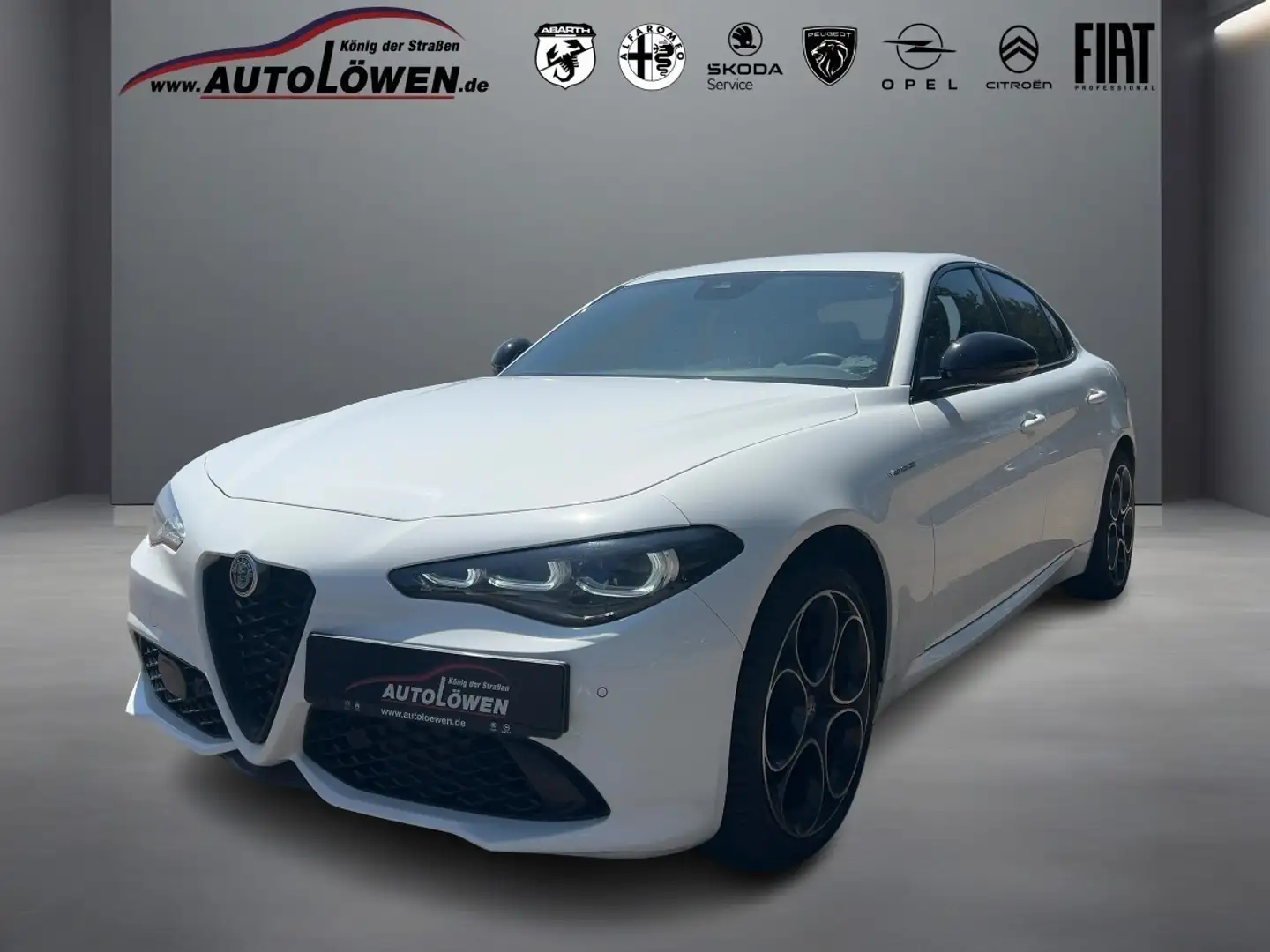 Alfa Romeo Giulia 2.0 Turbo 16V Veloce Q4  Rückfahrkamera Sportausst Weiß - 1