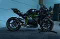 Kawasaki Ninja H2 Carbon MY2018 / H2R Pipe / Rizoma Grau - thumbnail 5