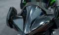 Kawasaki Ninja H2 Carbon MY2018 / H2R Pipe / Rizoma Grau - thumbnail 27