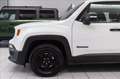 Jeep Renegade 1.6 e-torq evo Sport fwd 110cv my18 Bianco - thumbnail 7