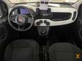 Fiat Panda 1.0 FireFly S&S Hybrid Pandina Nero - thumbnail 10