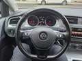 Volkswagen Golf Golf Alltrack 1.6 CR TDi 4Motion Grau - thumbnail 12
