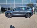Skoda Karoq Clever Grau - thumbnail 2