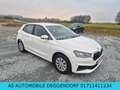 Skoda Fabia Active-EURO6-LED-SHZ-1.HAND-MWST Weiß - thumbnail 12