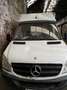 Mercedes-Benz Sprinter CHASSIS CAB 313 CDI 43 3.5t - thumbnail 3