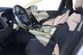 Nissan Qashqai 1.3 mhev N-Style 2wd 140cv Bianco - thumbnail 9