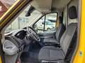 Ford Transit Kasten L2H2 290 Frontscheibenheizung Paket-Regale Gelb - thumbnail 6