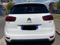 Citroen C4 Picasso C4 Picasso II 2017 1.6 bluehdi Shine s Bianco - thumbnail 3