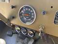 Jeep CJ-5 - Kaiser Jeep Schweizer Militärfahrzeug Grün - thumbnail 7