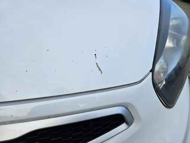 Kia Picanto view 3