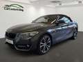 BMW 230 iCabrio*Sport Line*LED*Navi*HiFi*Tempo.*PDC* Gris - thumbnail 1