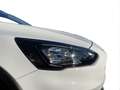 Ford Focus 1.0 EcoBoost 125 CV 5p. Active Bianco - thumbnail 9