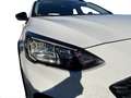 Ford Focus 1.0 EcoBoost 125 CV 5p. Active Bianco - thumbnail 11