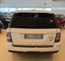Land Rover Range Rover Sport 3.0 V6 SE 4X4 bijela - thumbnail 6