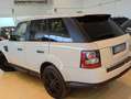 Land Rover Range Rover Sport 3.0 V6 SE 4X4 bijela - thumbnail 5