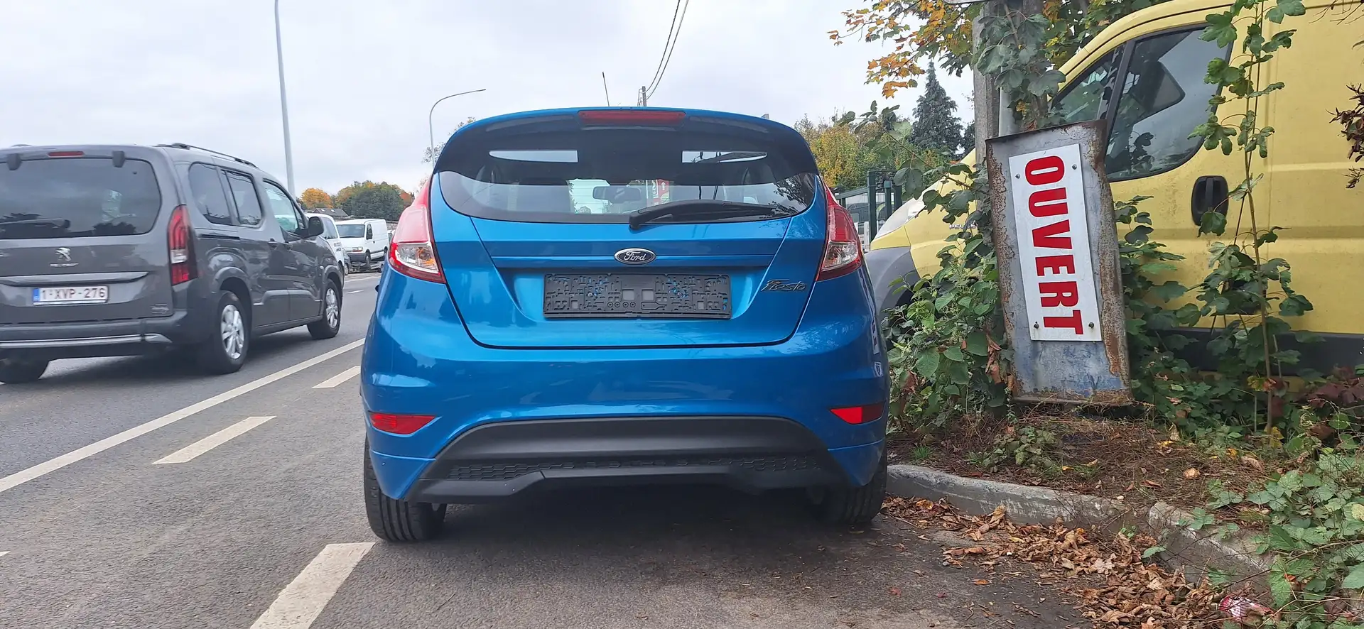 Ford Fiesta 1.6 TDCi Econetic utilitaire Bleu - 2