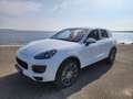 Porsche Cayenne II (2) 3.0 S E-HYBRID TIPTRONIC Wit - thumbnail 1