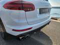 Porsche Cayenne II (2) 3.0 S E-HYBRID TIPTRONIC Wit - thumbnail 12
